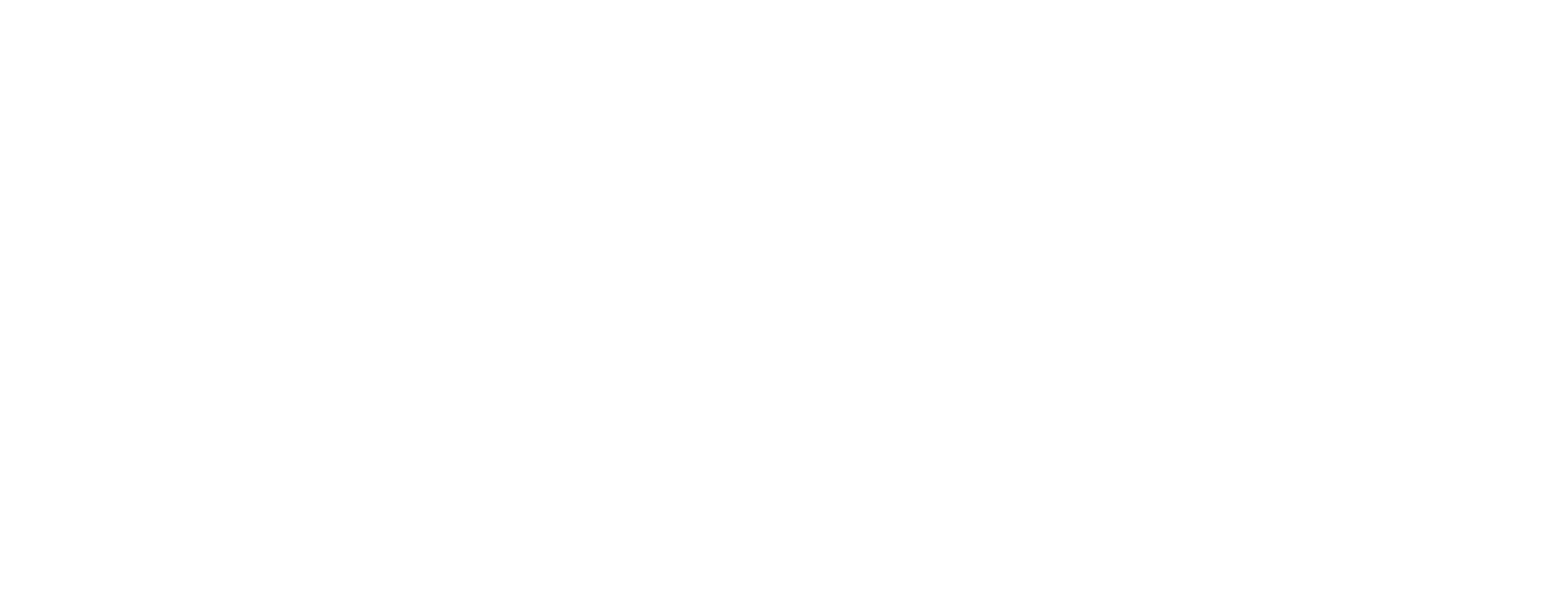 STUDIO NICHOLSON